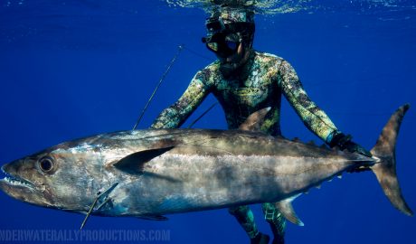 Spearfishing Tonga with Michael Takach